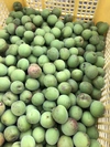 自然栽培　大梅　約5kg　サイズ混合　静岡県産　外観不良あり