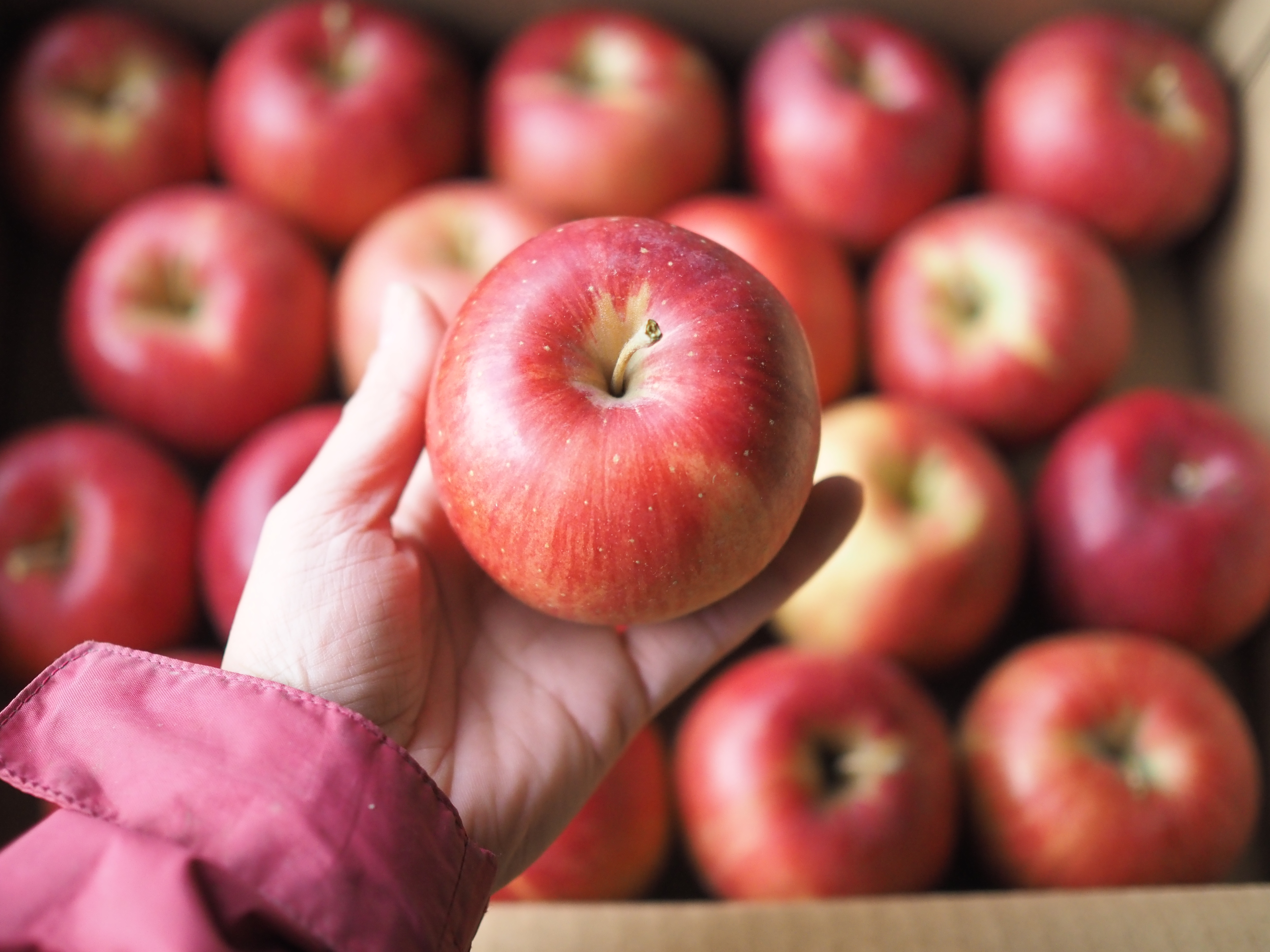 もーっと![シナノスイート超小玉]特別栽培/ネオニコ不使用/減農薬 3Kg箱