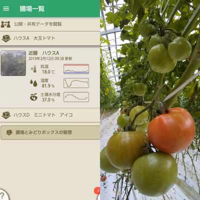 みんなの投稿の画像