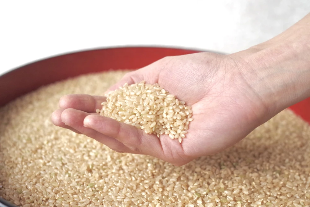 【定期】玄米が好きになる玄米　化学肥料不使用　きらほ玄米