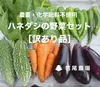B品【ハネダシの野菜セット】（チルド便）