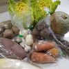 #ポケマル2021福袋＊冬の元気野菜セット～農薬/化学肥料・不使用