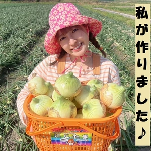 【肉厚ジューシー!!】淡路島産ブランド新玉ねぎ 『にじたま』一級品10kg