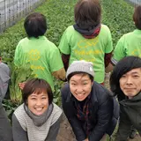 白井智規