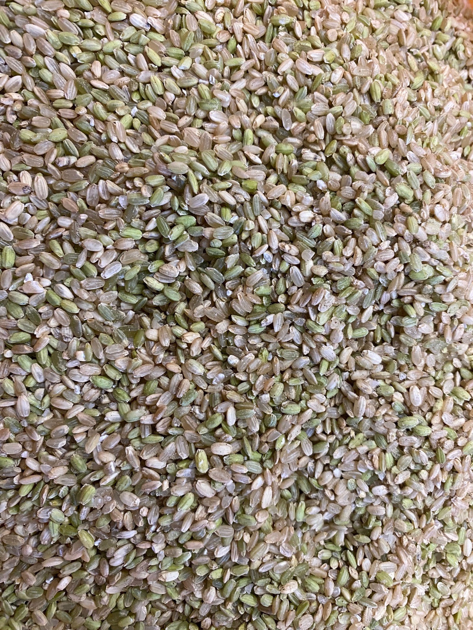 自然栽培くず米｜その他の米・雑穀類の商品詳細｜ポケットマルシェ