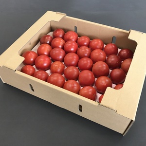 化学肥料・農薬完全不使用　高糖度トマト 3kg　青森産