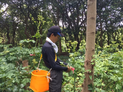 みんなの投稿の画像