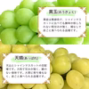 【送料無料】山形県産  シャインマスカットと品種お任せぶどう詰合せセット