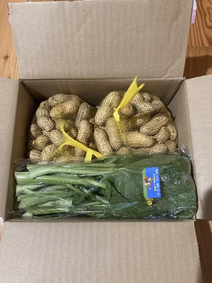 みんなの投稿の画像