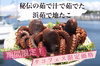 【タコフェス限定価格ver】東京湾産！まるごと1匹！！　浜茹で地たこ(大サイズ)