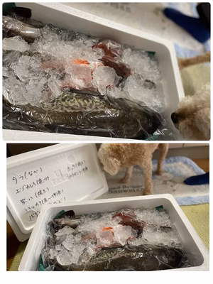 みんなの投稿の画像