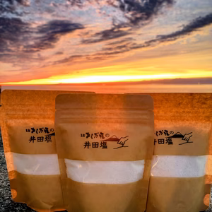 【3個セット】一度使ったら、、、おくだ荘の井田塩