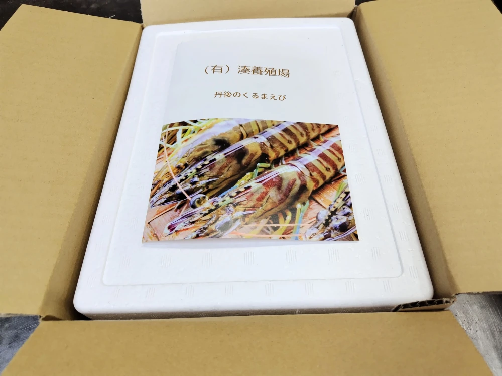 【12月お届け！予約】 京都府産車海老♪旨味と甘みがじわっと広がる丹後の車えび