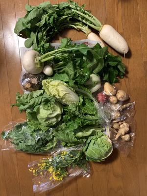 みんなの投稿の画像