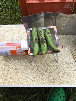 みんなの投稿の画像