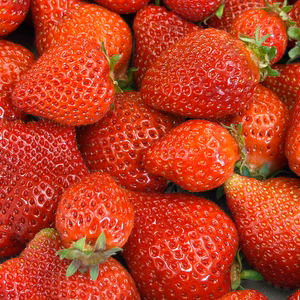 【加工用】完熟あまおう1kg（バラ詰め・不揃い）ジャム・スムージーに