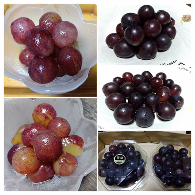 みんなの投稿の画像