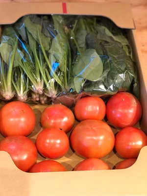 みんなの投稿の画像