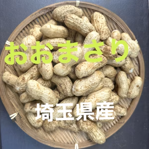 【9周年福袋】ジャンボ落花生・おおまさり