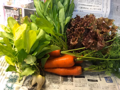 みんなの投稿の画像