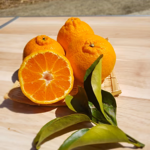 ハーブつき　訳あり甘平(カンペイ)２㌔　訳あり不知火デコ2.5㌔　でおまけつき