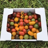 那須高原産カラフルトマトのマルシェ（10種以上・1.2㎏）