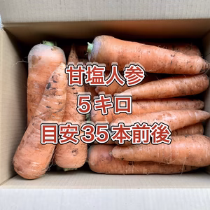 【鹿児島産】甘塩人参箱込み5キロ^_^