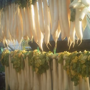 「干し大根」＆カリフラワーのセット