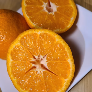 有機JAS認証園地　愛媛　ポンカン　『しまなみ潮風ポンカン』オーガニック