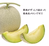 肥料屋さんが作った”あま～い”メロン　2玉/贈答用/数量限定