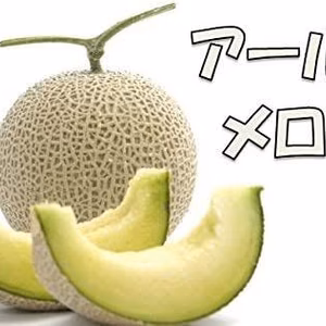 もうじき発送！アールスメロン　甘くて、おすすめな温室メロン