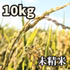 保存に最適！【未精米】ヒラヤマファームの米（10kg）