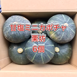 【鹿児島産】甘塩ミニカボチャ（栗坊）6個^_^