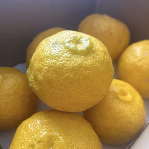 残りわずか‼️ 柚子