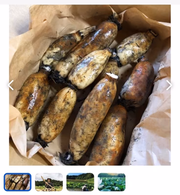 みんなの投稿の画像