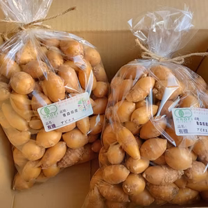 【ホクホク感と甘み！世界三大健康野菜・アピオス2キロ】無農薬・無化学肥