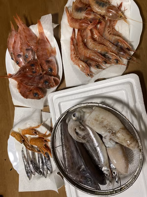 みんなの投稿の画像