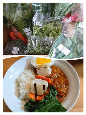 みんなの投稿の画像