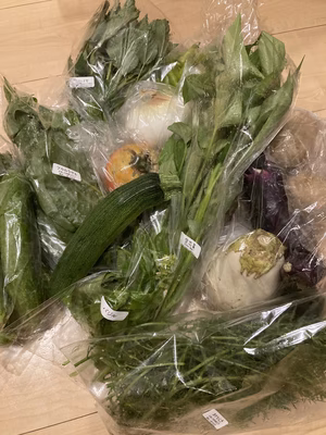 みんなの投稿の画像