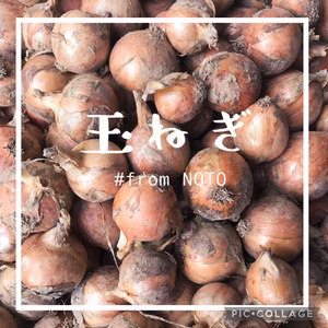 玉ねぎ　尽くし