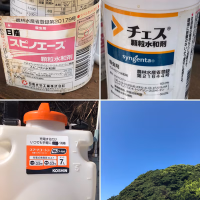 みんなの投稿の画像