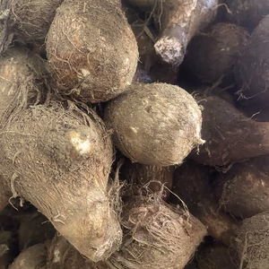 農薬、化学肥料不使用里芋