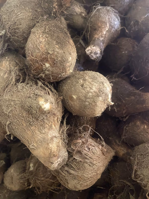 農薬、化学肥料不使用里芋