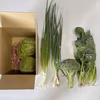 「冷蔵で発送」野菜　おまかせ6品セット　80サイズ　3kg〜4kg