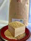 無農薬無施肥、天日干しコシヒカリ「小太郎米」玄米