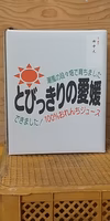 夏ギフト　お中元のし対応　農家直送100％みかんジュース(きよみ)　