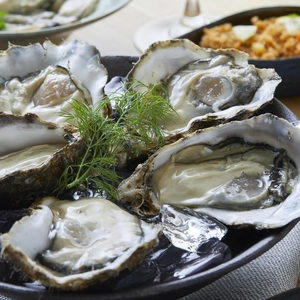 呉産牡蠣生産量日本一！生で安心して食べられる美浄生牡蠣　殻付き