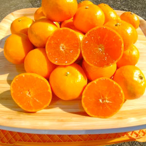 長崎の【完熟小玉】原口早生みかん(3kg)