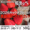 【2026キックオフセール】べにほっぺ30ｇ以上の大粒をたっぷり500g