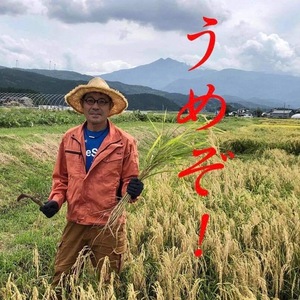 秋田県産ひとめぼれ